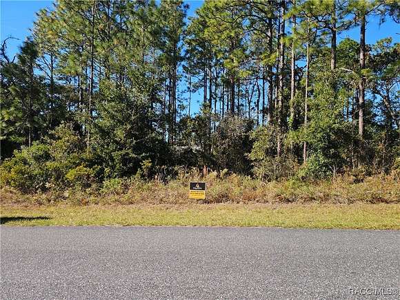 0.23 Acres of Residential Land for Sale in Dunnellon, Florida