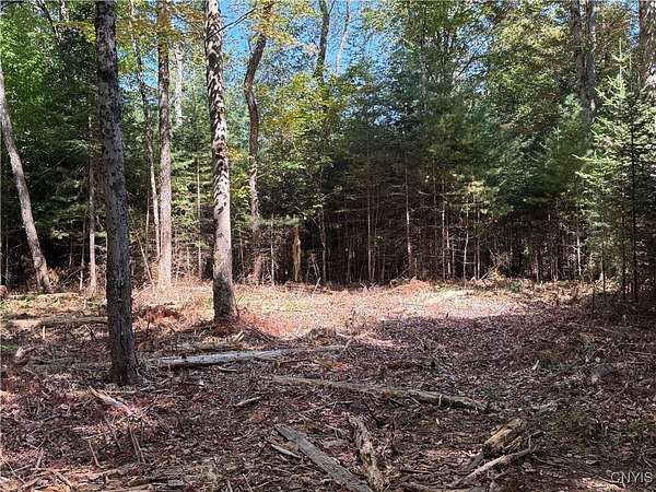 6.36 Acres of Residential Land for Sale in Alder Creek, New York