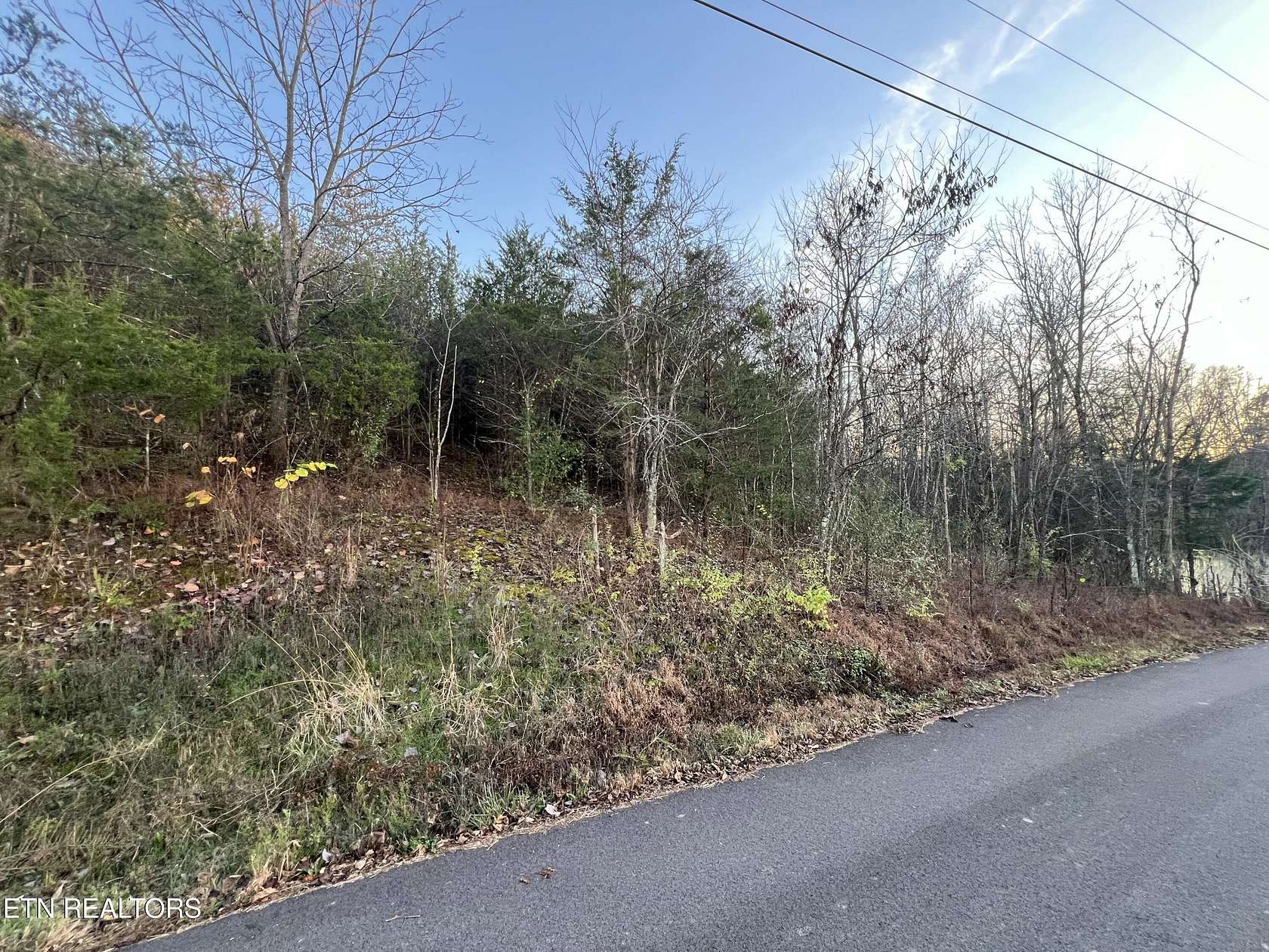 1.54 Acres of Residential Land for Sale in Seymour, Tennessee