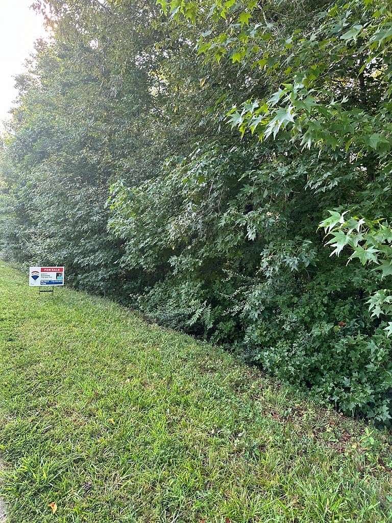 0.59 Acres of Residential Land for Sale in Temple, Georgia