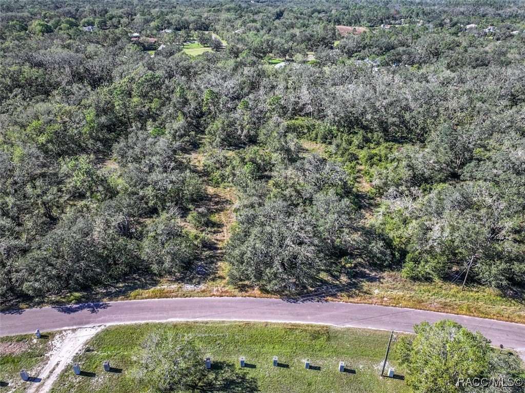 1.71 Acres of Residential Land for Sale in Wimauma, Florida