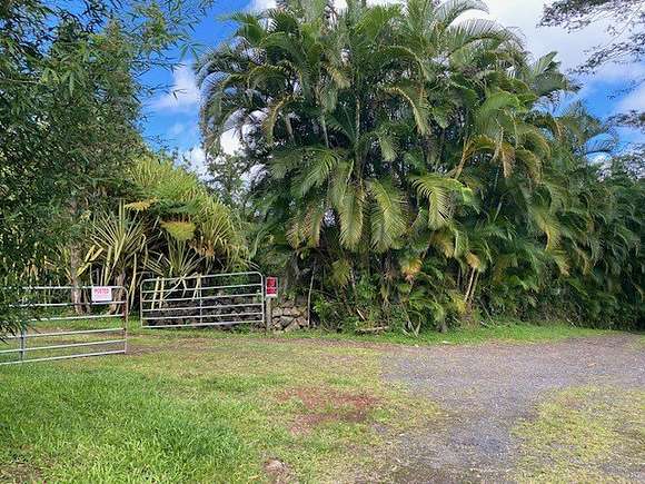 10 Acres of Residential Land for Sale in Kurtistown, Hawaii