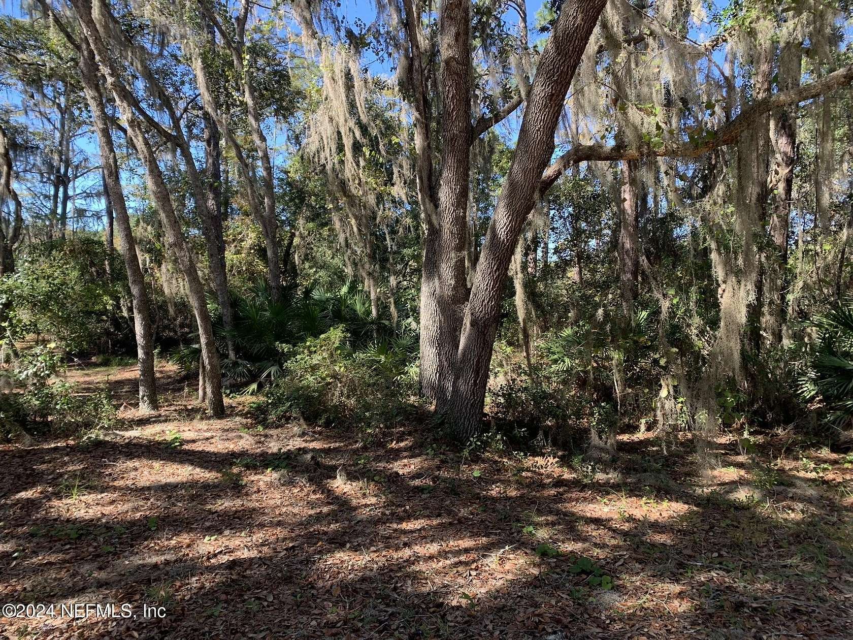 0.31 Acres of Land for Sale in Interlachen, Florida