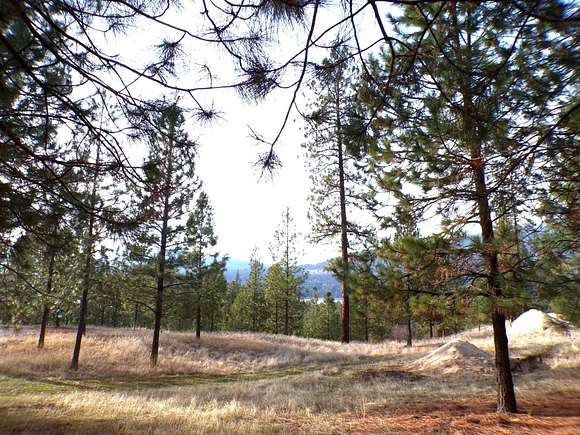 1.15 Acres of Residential Land for Sale in Kettle Falls, Washington