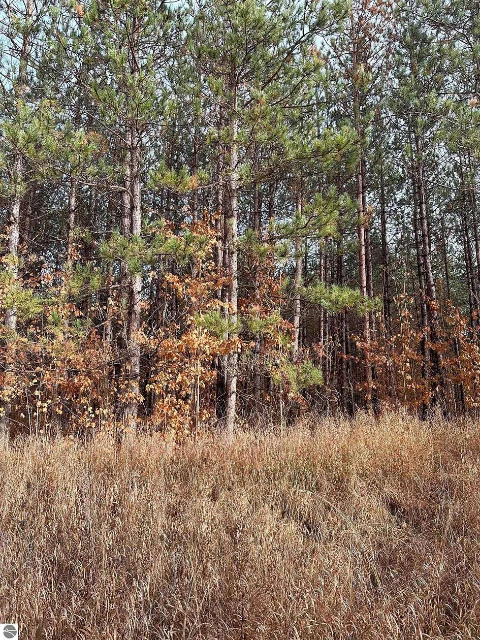 136.95 Acres of Recreational Land for Sale in Kalkaska, Michigan