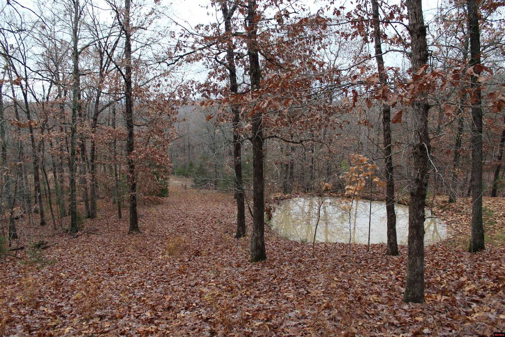 45.72 Acres of Recreational Land for Sale in Peel, Arkansas