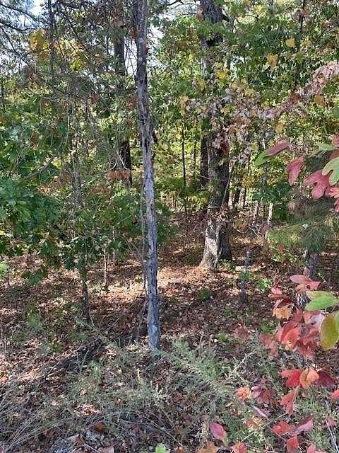 0.35 Acres of Residential Land for Sale in Bella Vista, Arkansas