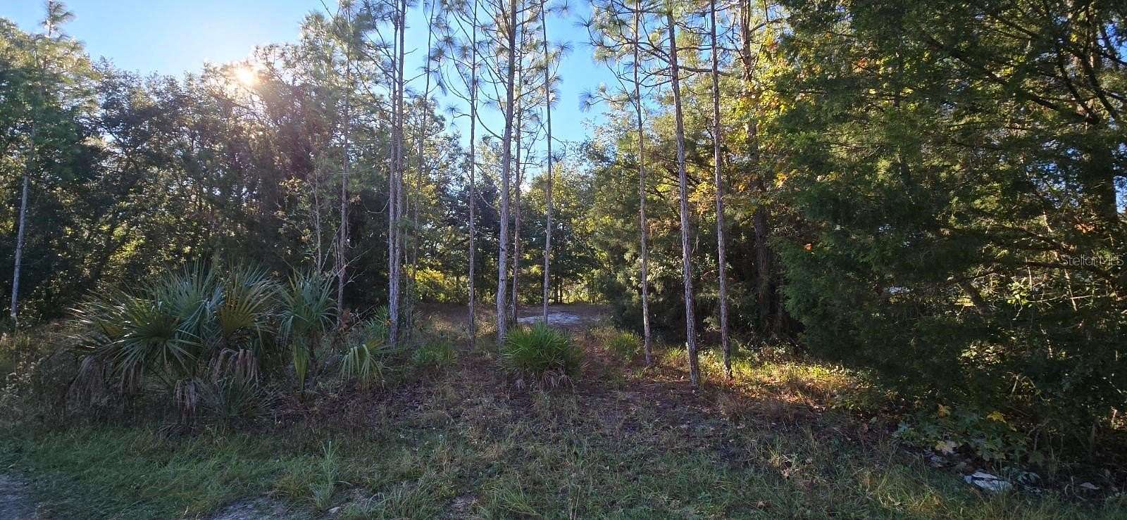 0.5 Acres of Residential Land for Sale in Homosassa, Florida