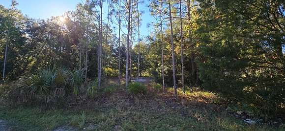 0.5 Acres of Residential Land for Sale in Homosassa, Florida