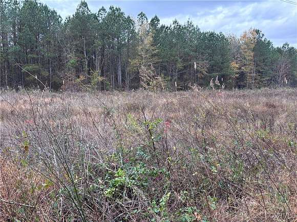 18.16 Acres of Recreational Land for Sale in Charles City, Virginia