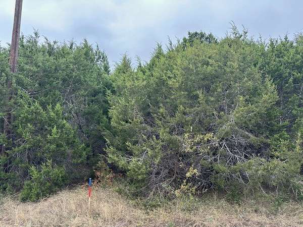 0.54 Acres of Residential Land for Sale in Whitney, Texas