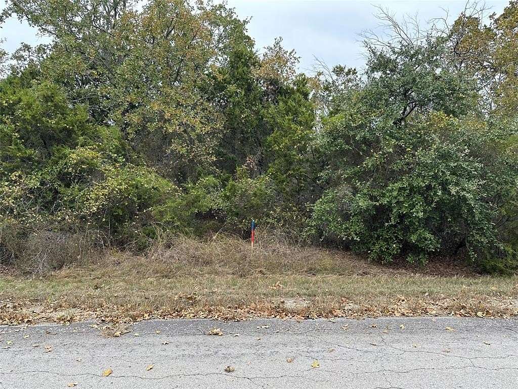 0.239 Acres of Residential Land for Sale in Whitney, Texas