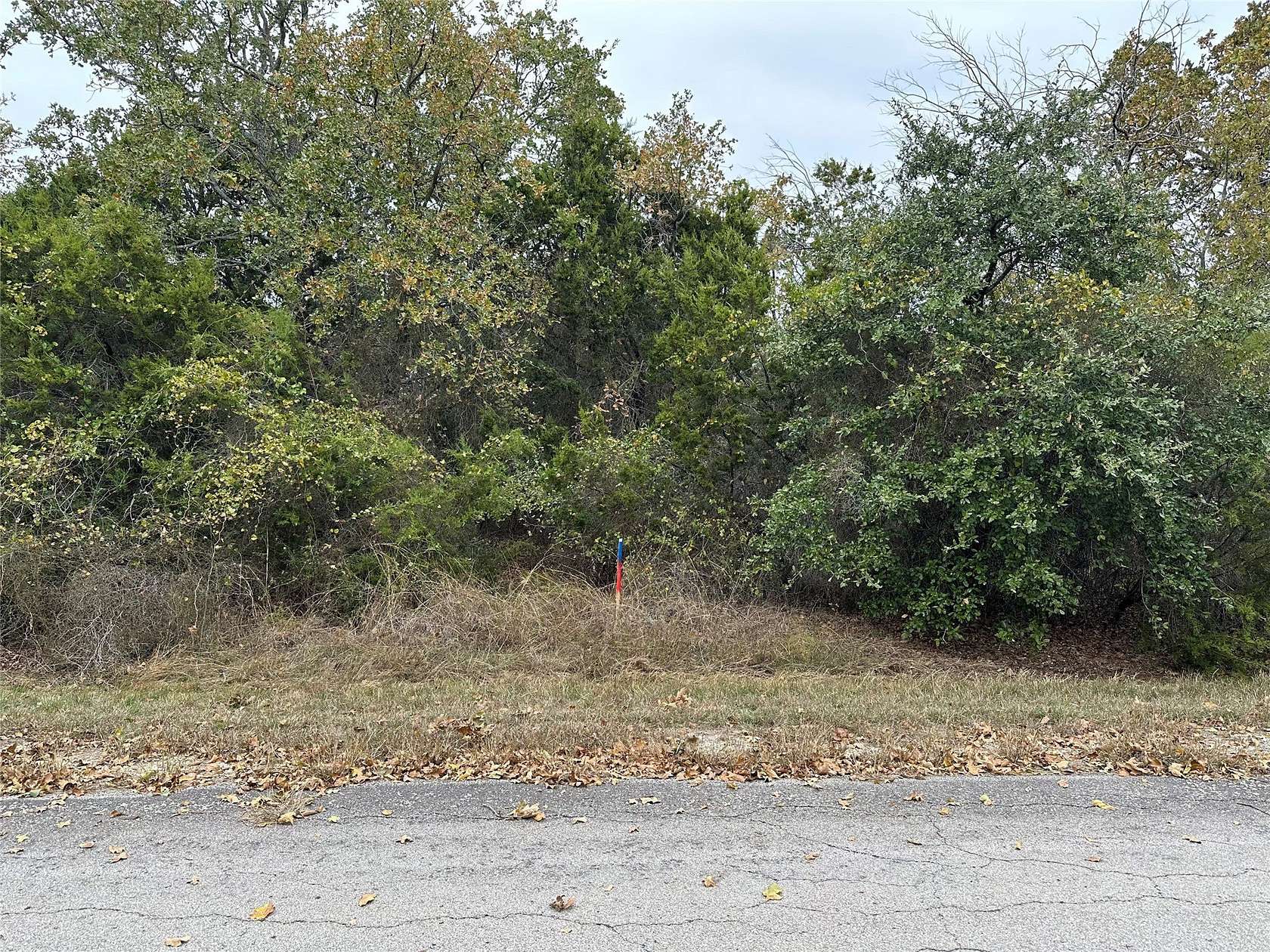 0.24 Acres of Residential Land for Sale in Whitney, Texas