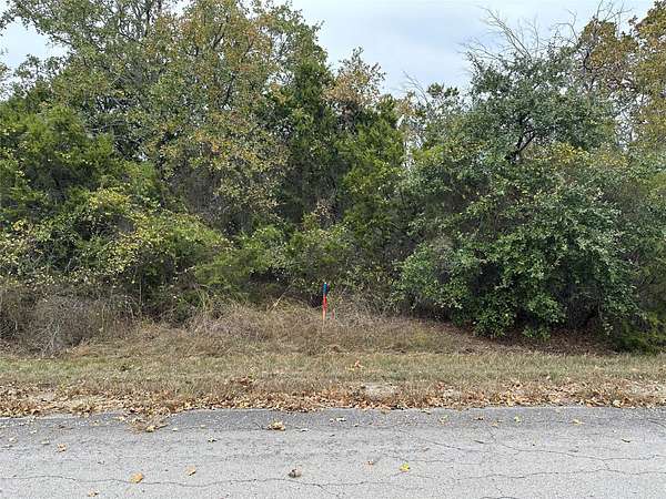 0.24 Acres of Residential Land for Sale in Whitney, Texas
