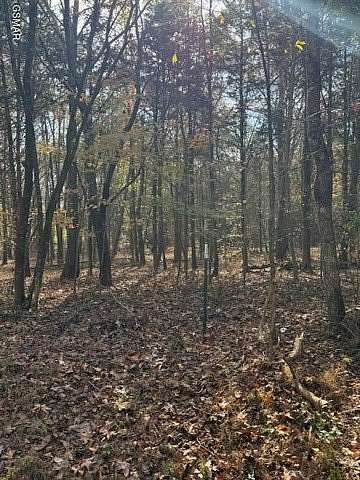 0.41 Acres of Residential Land for Sale in Baneberry, Tennessee