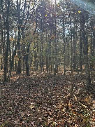 0.41 Acres of Residential Land for Sale in Baneberry, Tennessee