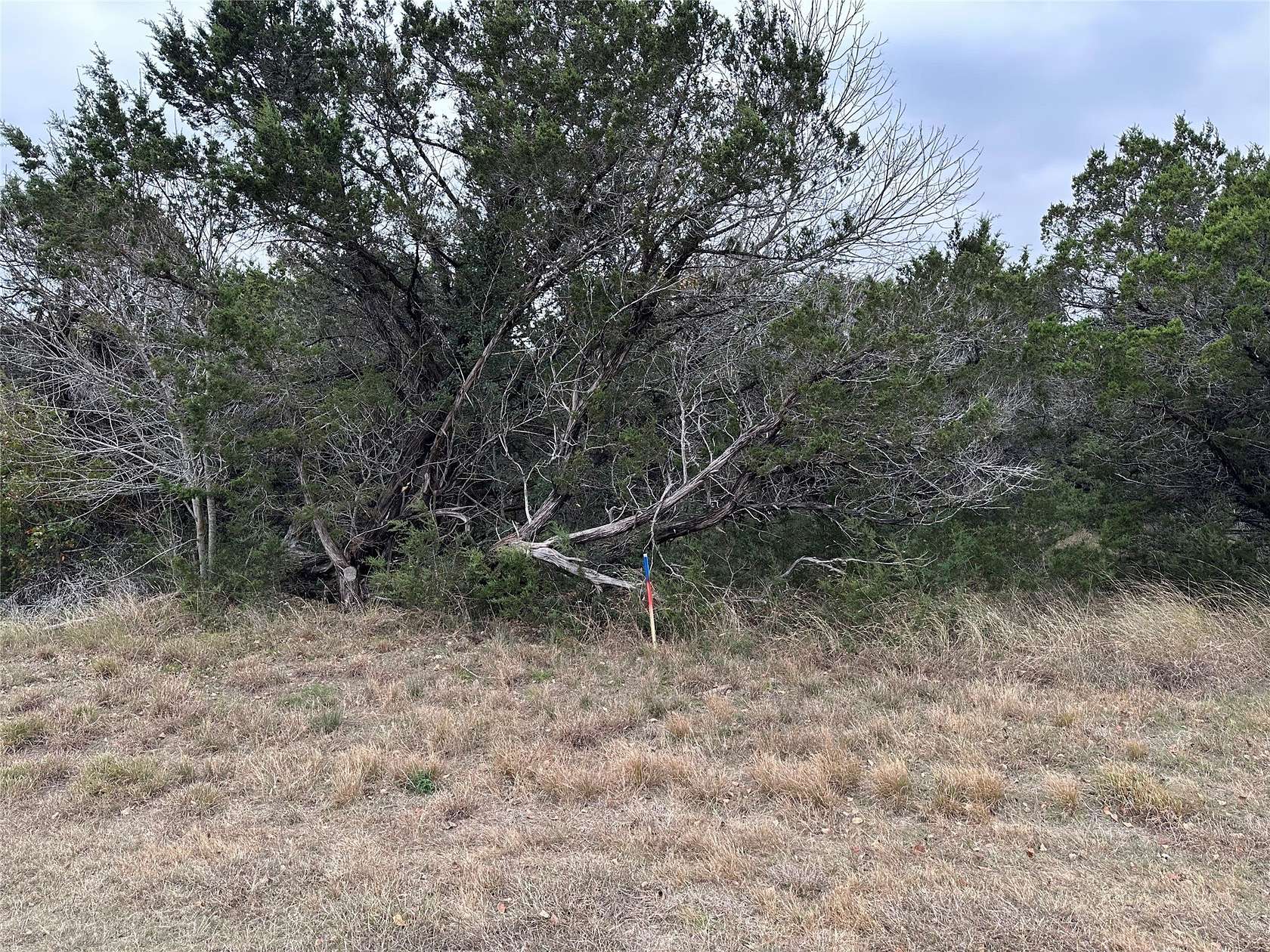 0.34 Acres of Residential Land for Sale in Cleburne, Texas