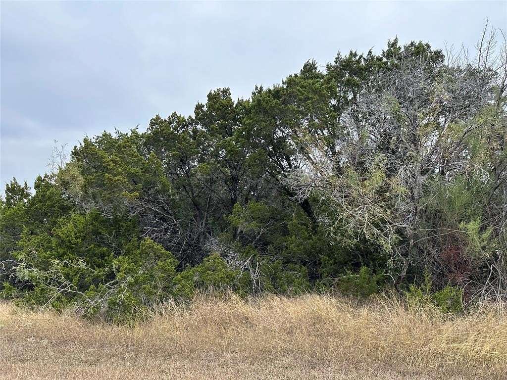 0.56 Acres of Residential Land for Sale in Whitney, Texas