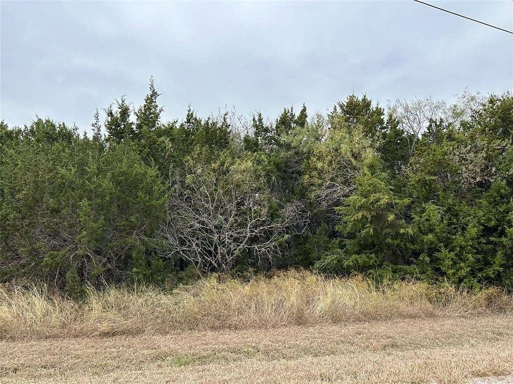 0.274 Acres of Residential Land for Sale in Whitney, Texas