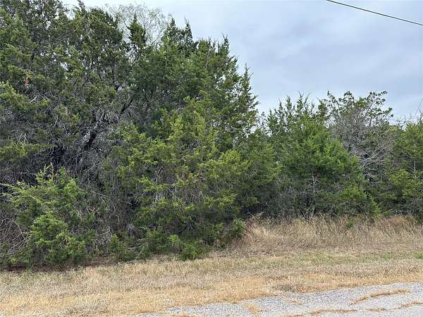 0.27 Acres of Residential Land for Sale in Whitney, Texas