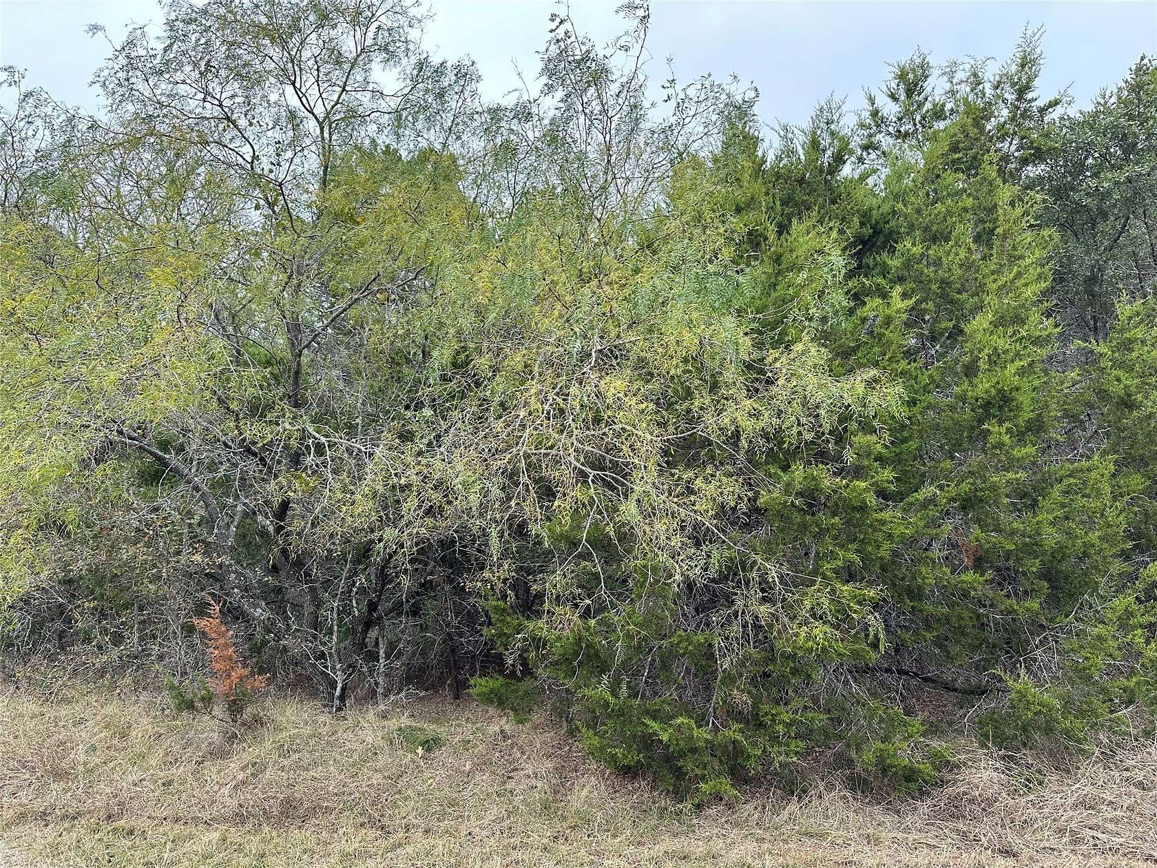 0.59 Acres of Residential Land for Sale in Whitney, Texas