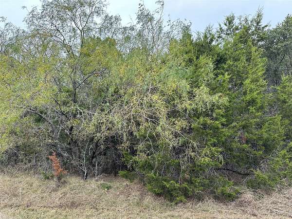 0.59 Acres of Residential Land for Sale in Whitney, Texas