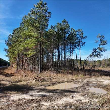 81.8 Acres of Land for Sale in Linden, North Carolina