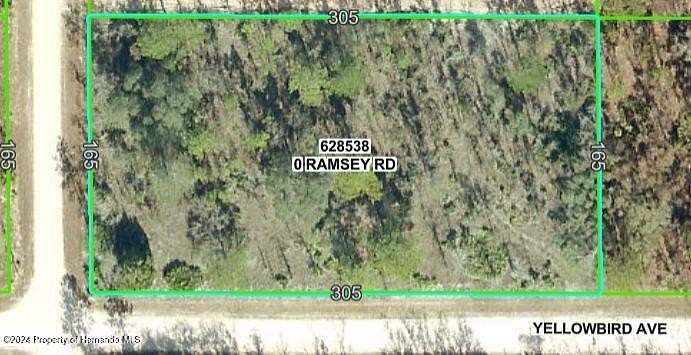 1.16 Acres of Residential Land for Sale in Weeki Wachee, Florida