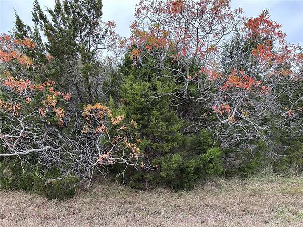 0.3 Acres of Residential Land for Sale in Whitney, Texas