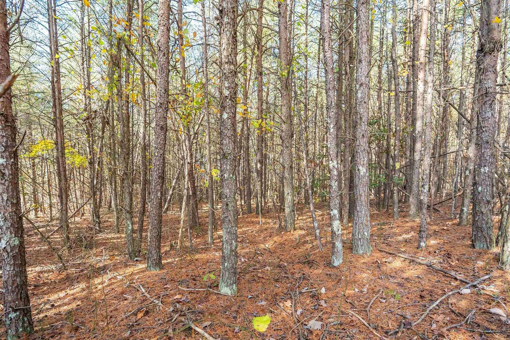 22.9 Acres of Land for Sale in Greer, South Carolina