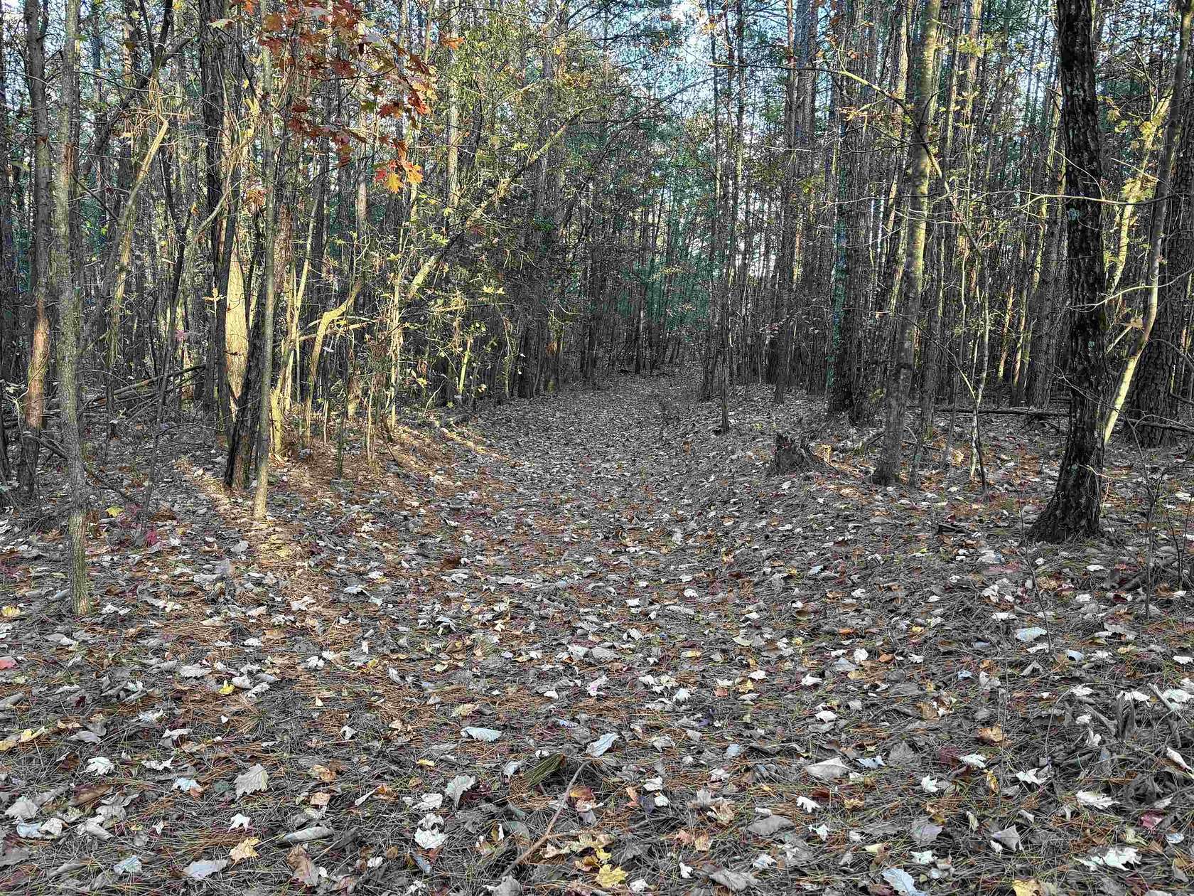 22.9 Acres of Land for Sale in Greer, South Carolina