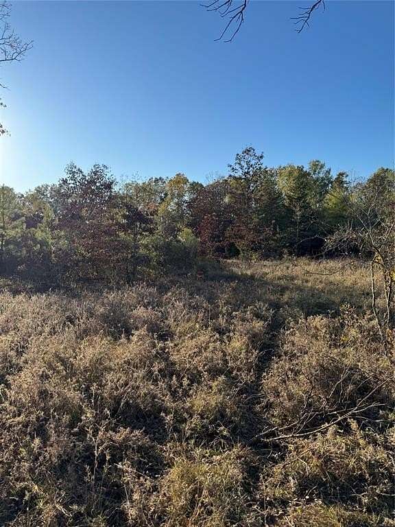 40 Acres of Recreational Land for Sale in Haworth, Oklahoma