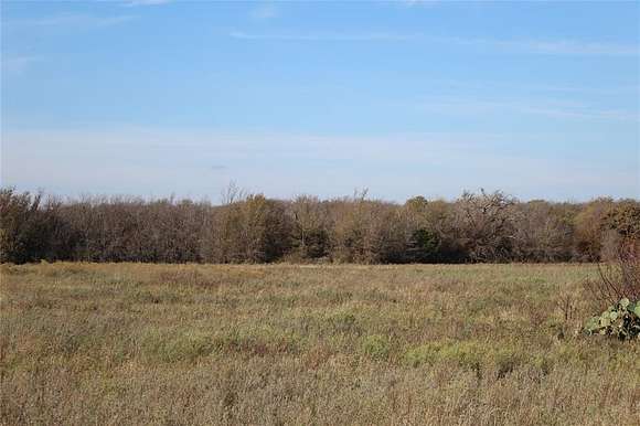 30 Acres of Agricultural Land for Sale in Perrin, Texas