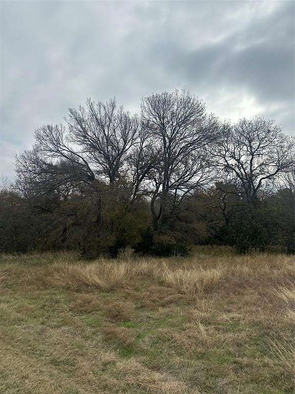 0.309 Acres of Residential Land for Sale in Whitney, Texas