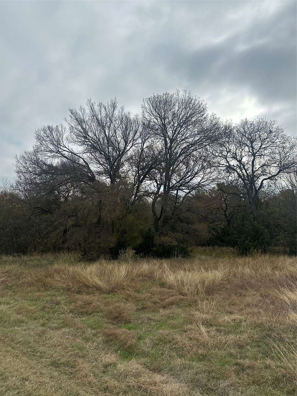 0.3 Acres of Residential Land for Sale in Whitney, Texas