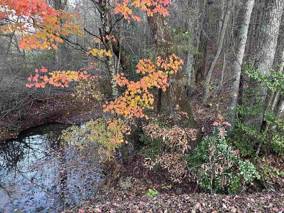 10 Acres of Land for Sale in Greer, South Carolina