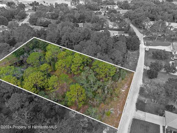 1 Acre of Residential Land for Sale in Weeki Wachee, Florida