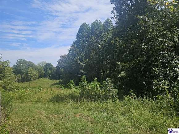 43.6 Acres of Land for Sale in Hodgenville, Kentucky