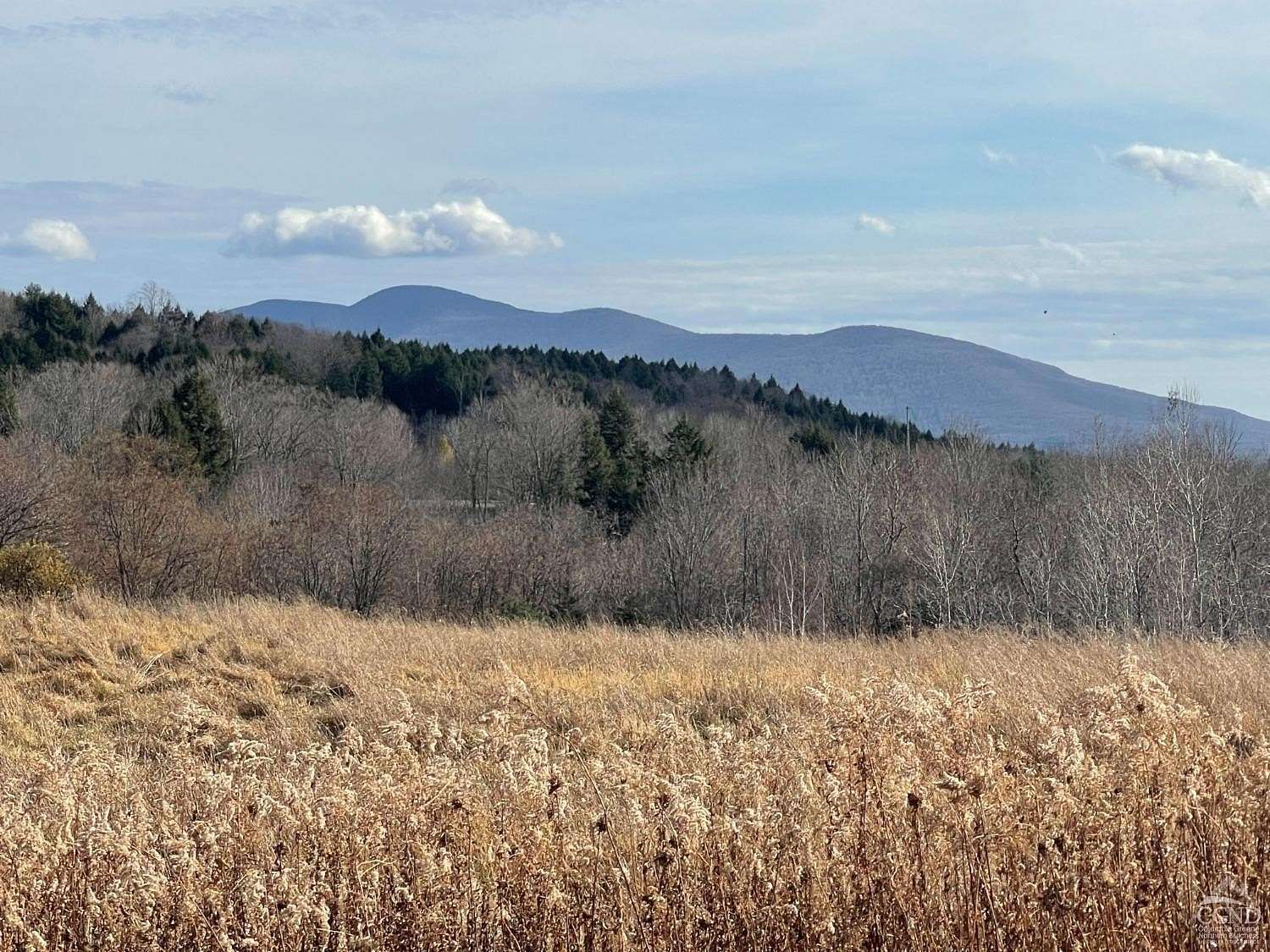 25.3 Acres of Land for Sale in Windham, New York