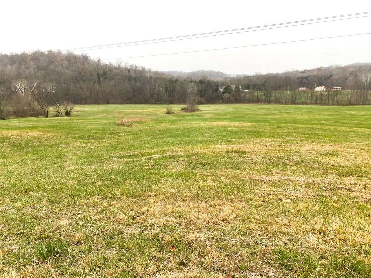 11.55 Acres of Land for Sale in Custer, Kentucky