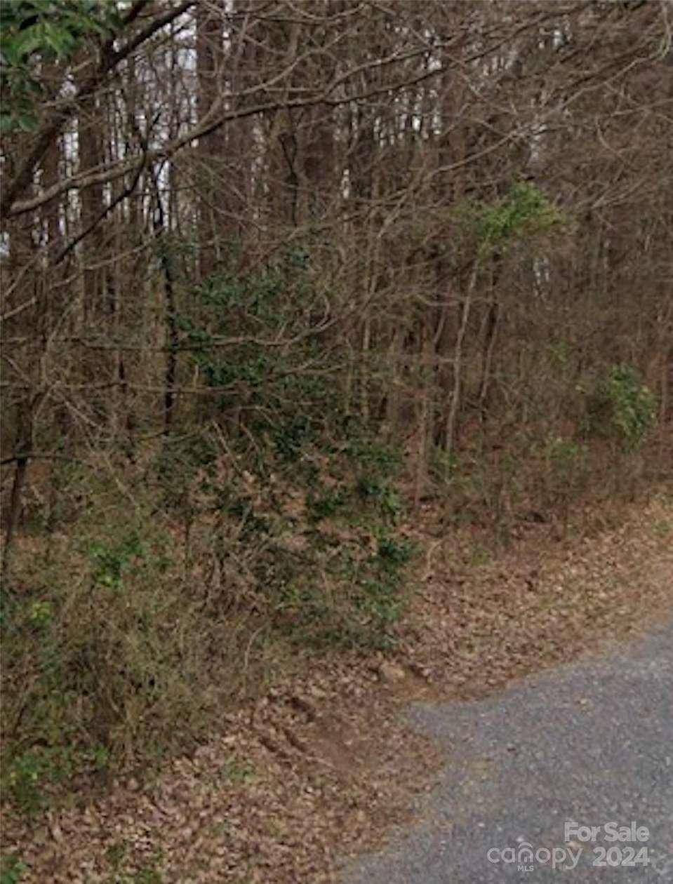 0.5 Acres of Residential Land for Sale in Charlotte, North Carolina