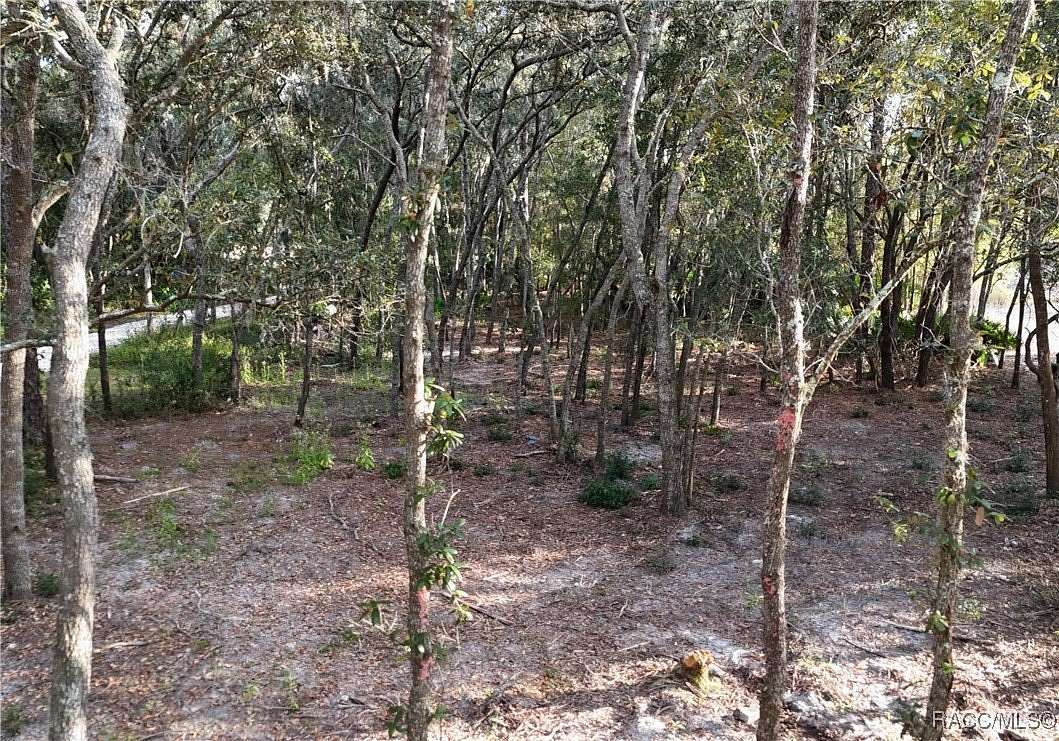 0.37 Acres of Residential Land for Sale in Interlachen, Florida