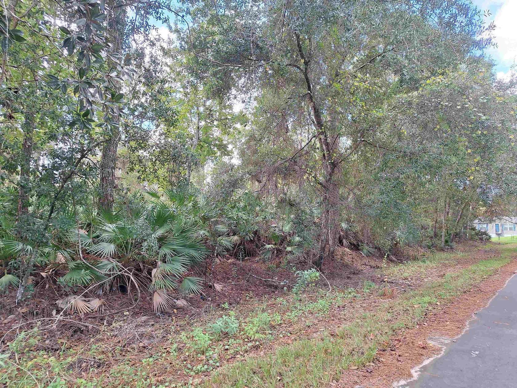 0.79 Acres of Residential Land for Sale in Satsuma, Florida