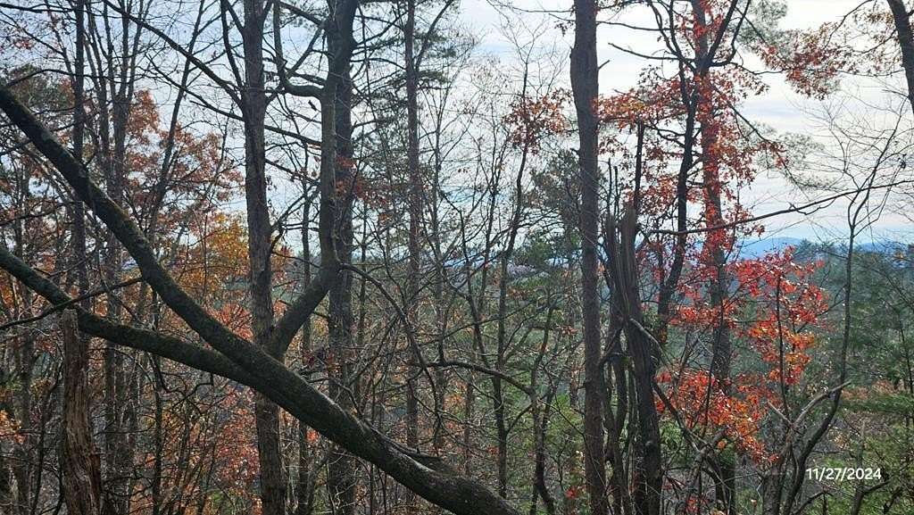 0.75 Acres of Land for Sale in Ellijay, Georgia