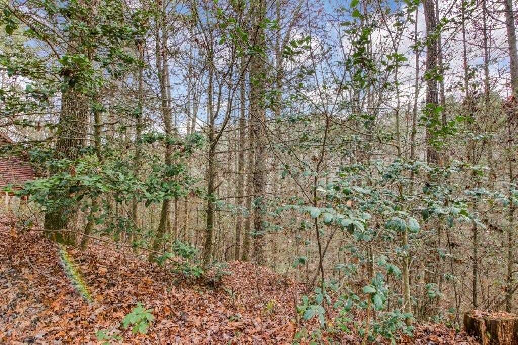 0.8 Acres of Land for Sale in Ellijay, Georgia