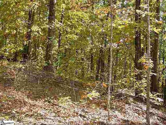 4.28 Acres of Residential Land for Sale in Marietta, South Carolina