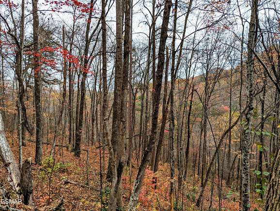 1.08 Acres of Residential Land for Sale in Sevierville, Tennessee