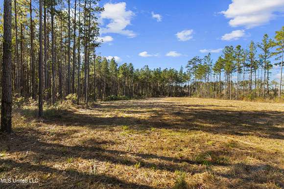 5.8 Acres of Residential Land for Sale in Pelahatchie, Mississippi