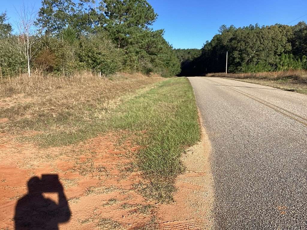 34.64 Acres of Recreational Land for Sale in Andalusia, Alabama