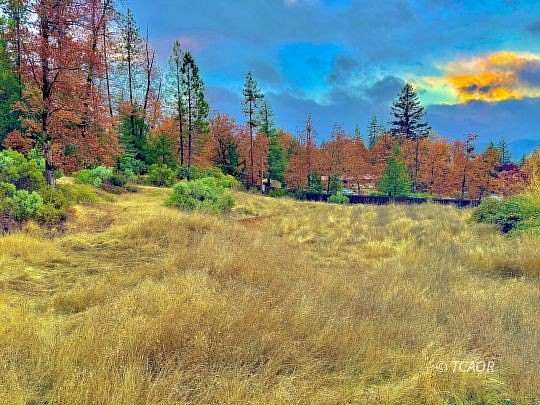 2.44 Acres of Residential Land for Sale in Hayfork, California